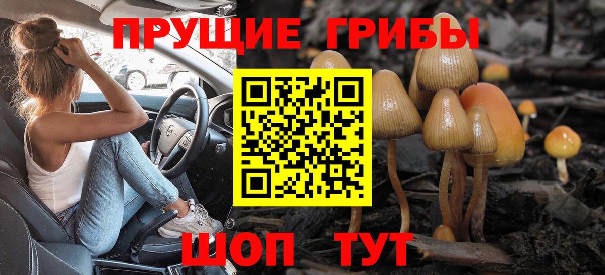 Сибай  где купить   Галлюциногенные грибы Magic Shrooms  Вход с VPN  Псилоцибиновые грибы мухоморы 